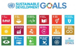 Sustainable Development Goals (SDG's)