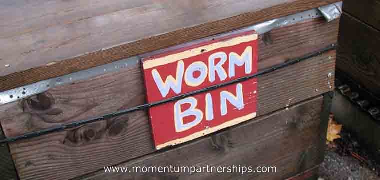 10 Tips How to Set up a Worm Farm – A Quick Guide.